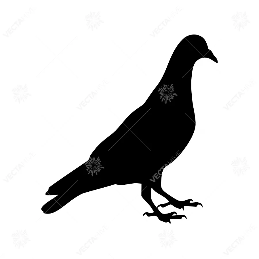 Black Pigeon Silhouette Vector