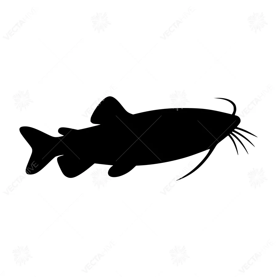 Black Catfish Silhouette Vector