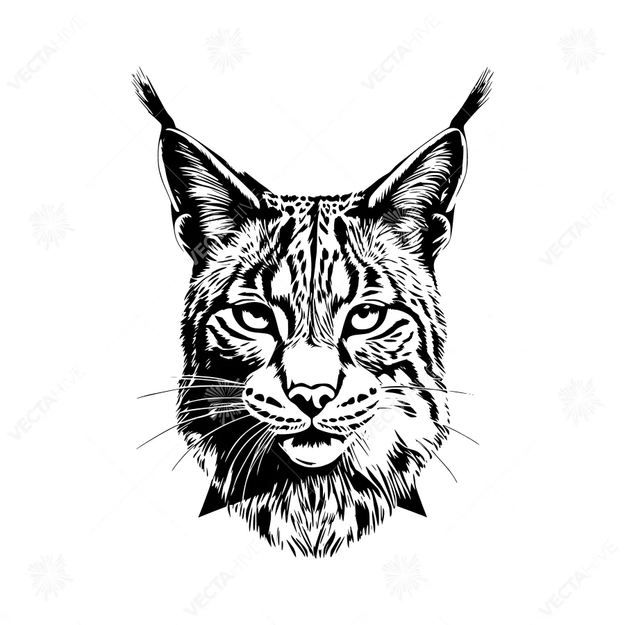 Black Silhouette Lynx Portrait - Vector Illustration
