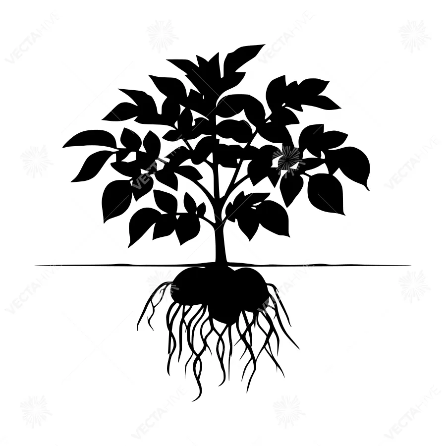 Silhouette Tree Roots - Minimalist Vector Illustration