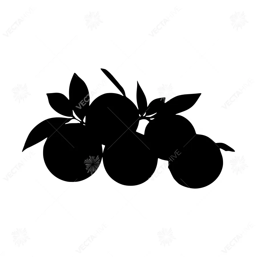 Silhouette Citrus Fruits - Black on White