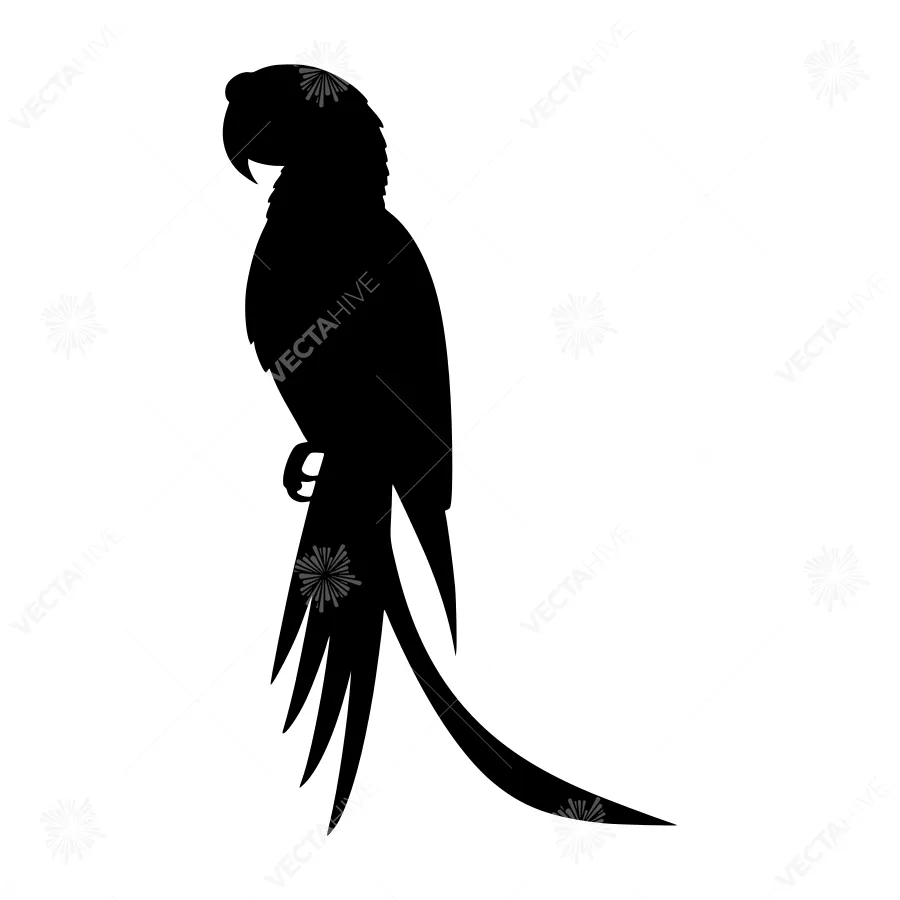 Black Parrot Silhouette Vector Illustration