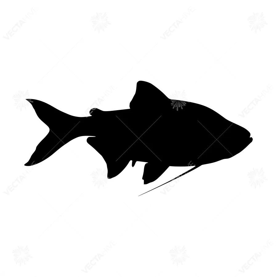 Black Fish Silhouette Vector Graphic