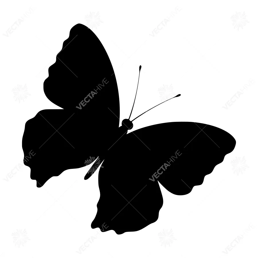 Black Butterfly Silhouette on White Background
