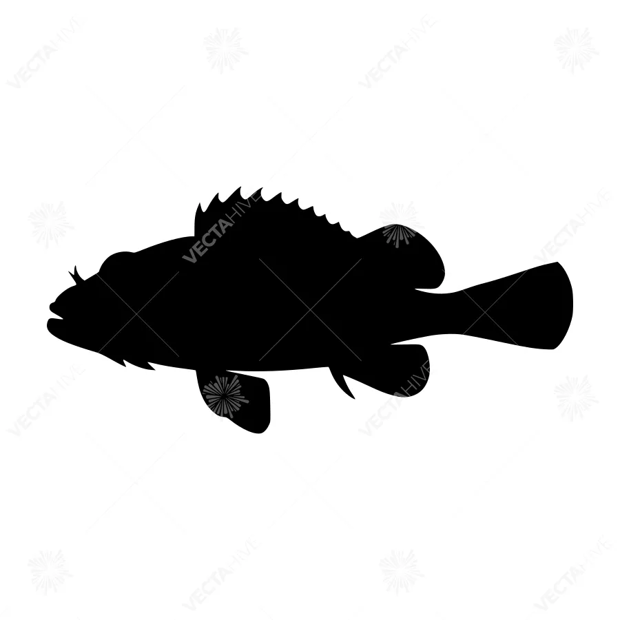 Black Grouper Fish Silhouette Vector