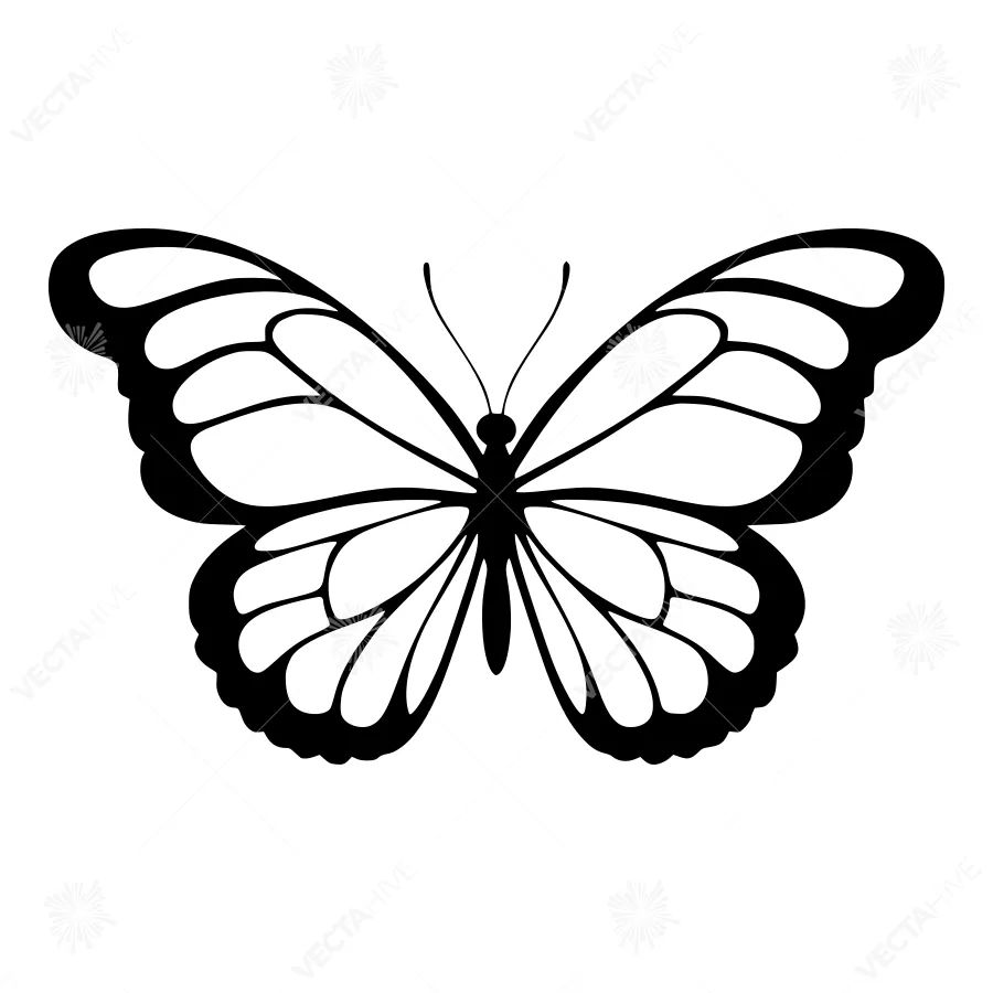 Black Butterfly Silhouette Vector Illustration
