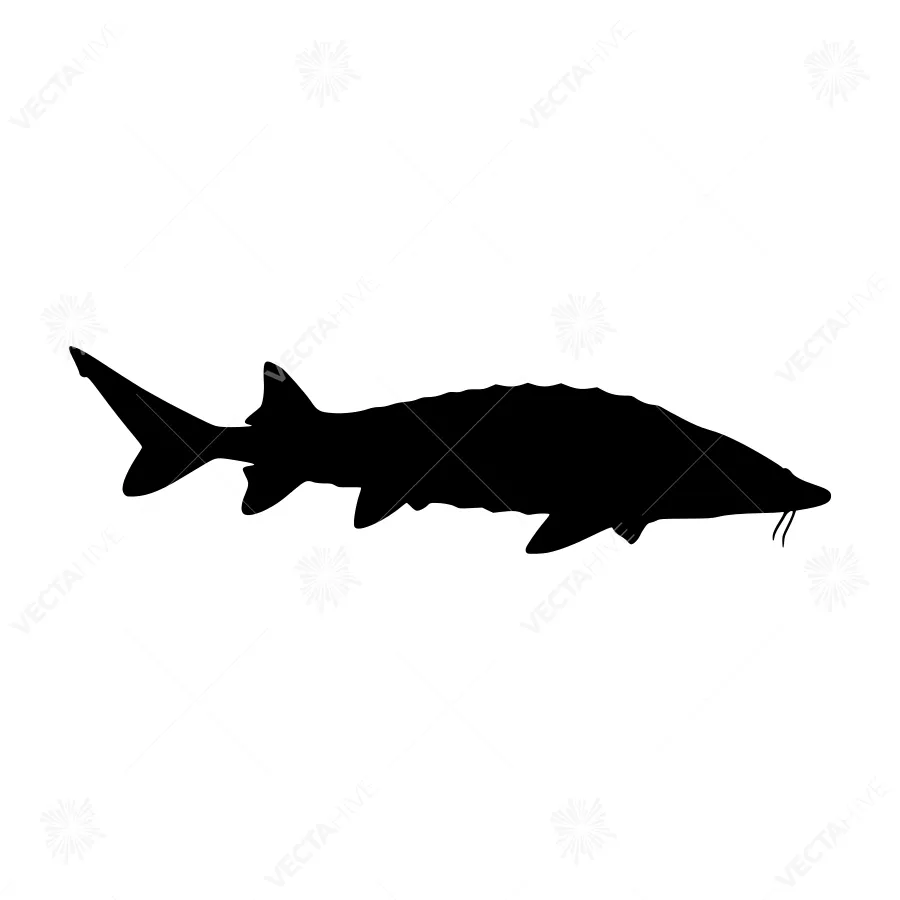 Black Sturgeon Silhouette Vector Graphic