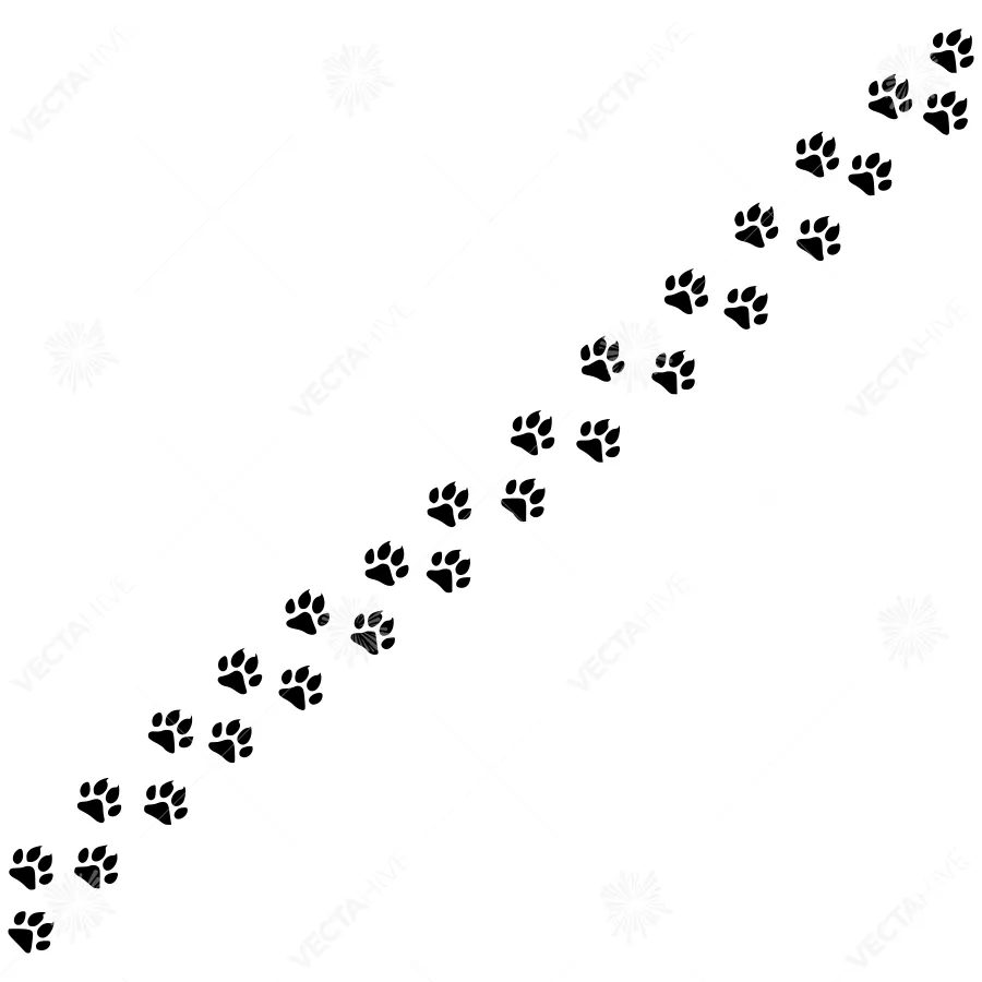 Paw Prints Trail - Black Footprints on White