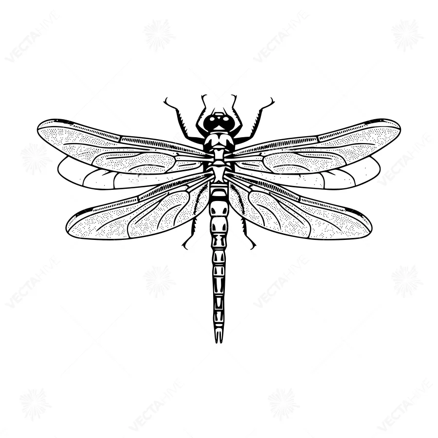 Dragonfly Silhouette Black and White Vector Illustration