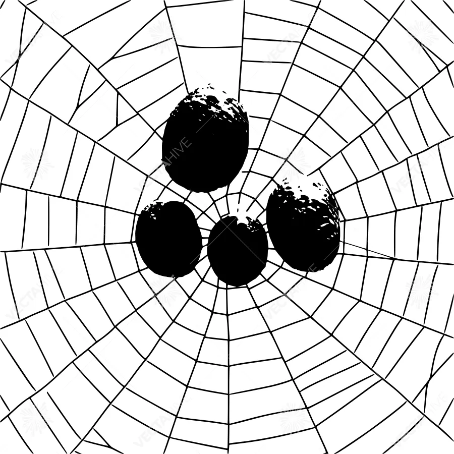 Black Spheres on Spiderweb Background