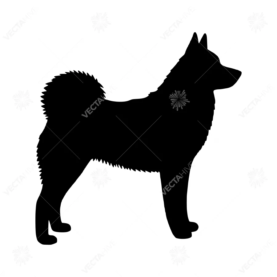 Silhouetted Siberian Husky - Dog Silhouette