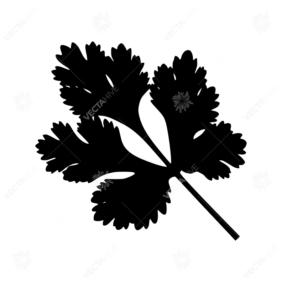 Black Coriander Leaf Silhouette