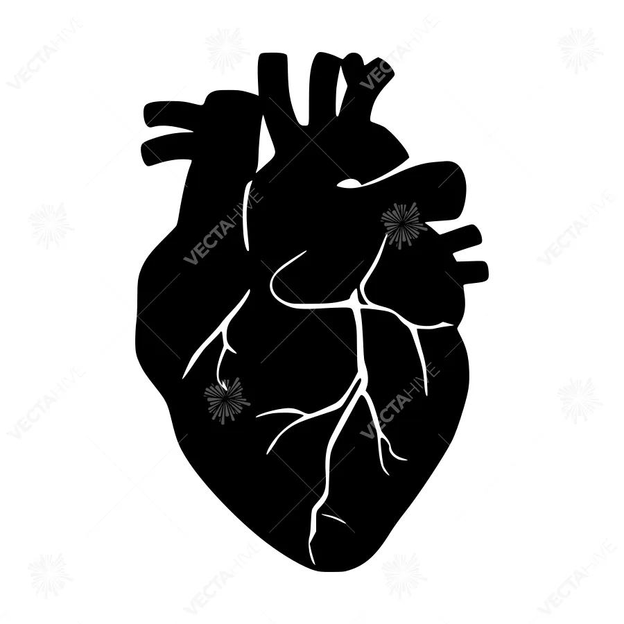 Silhouette Heart Graphic - Black on White