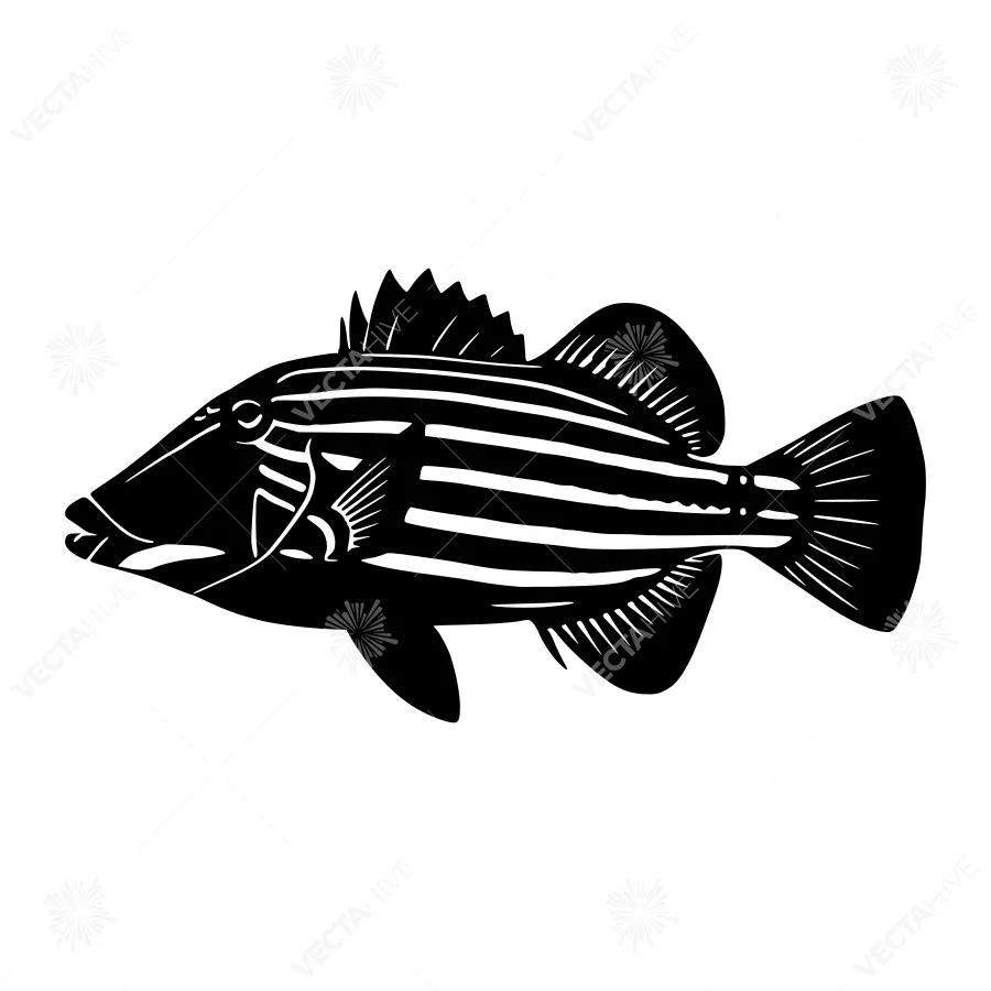 Black Silhouette Fish Illustration