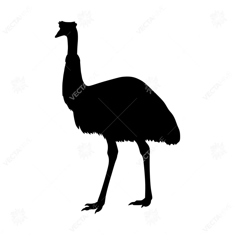 Emus Silhouette Vector Illustration