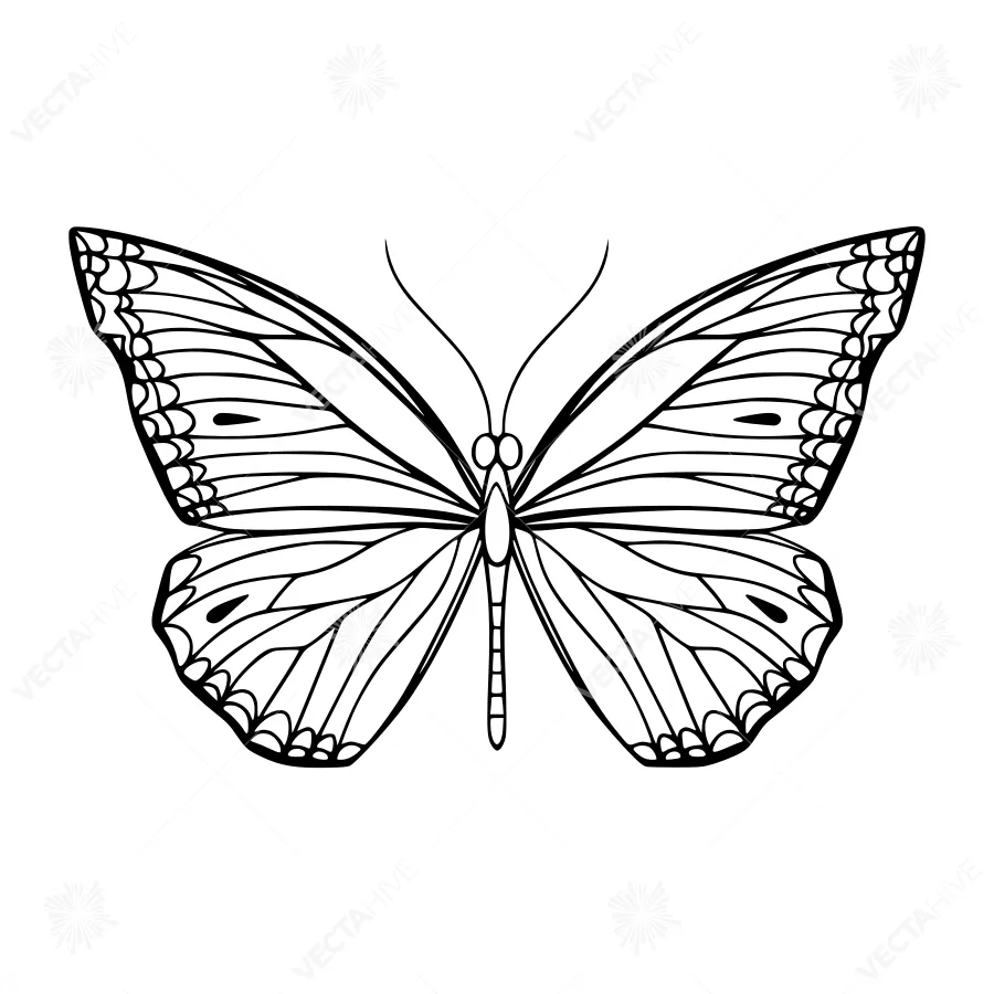 Black Butterfly Outline Vector Illustration