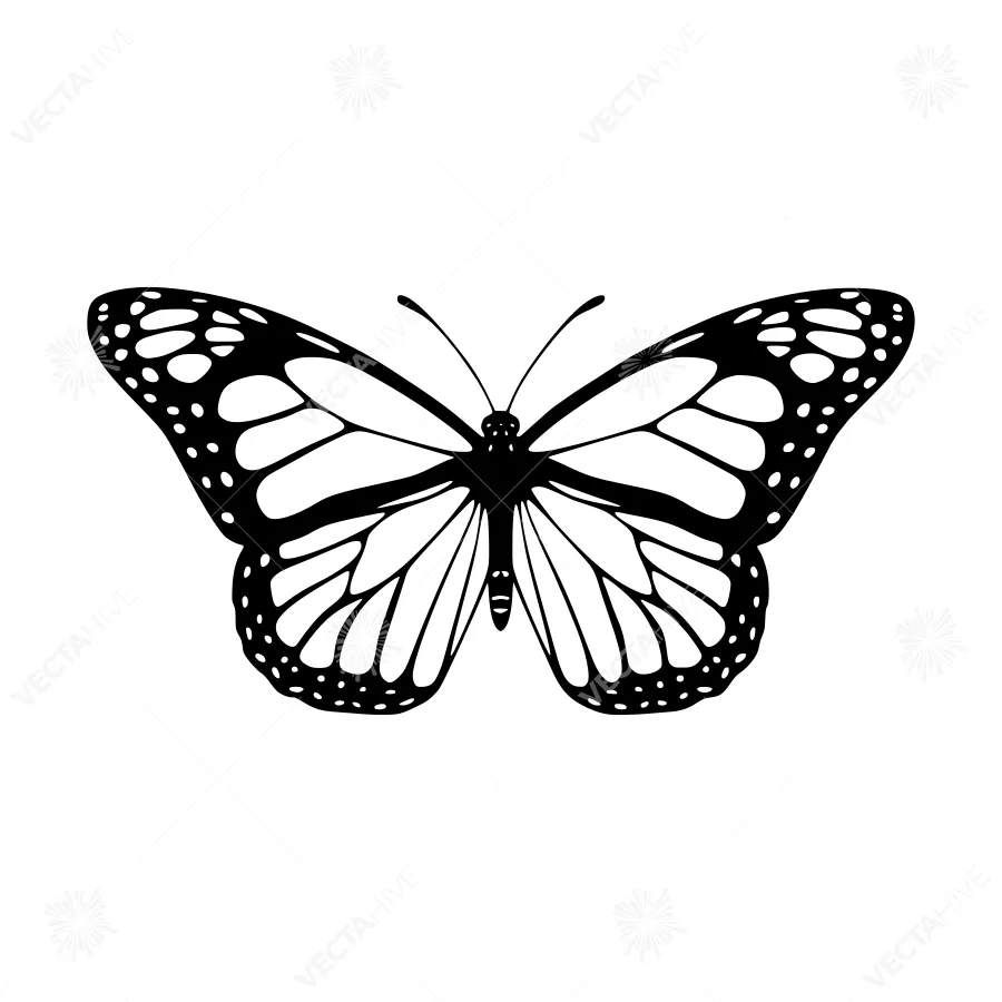 Monarch Butterfly Silhouette Black & White