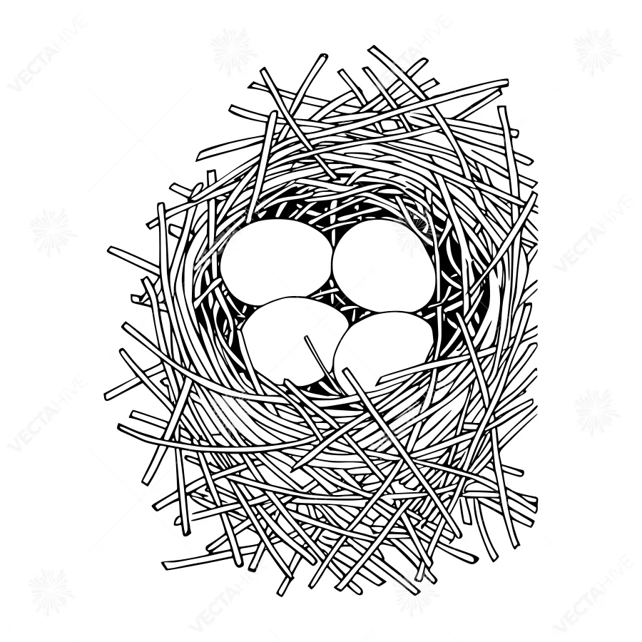 Vintage Bird’s Nest with Eggs - Line Art Illustration