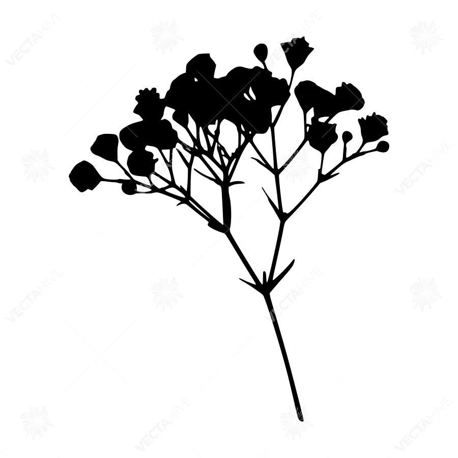 Black Floral Silhouette on White Background
