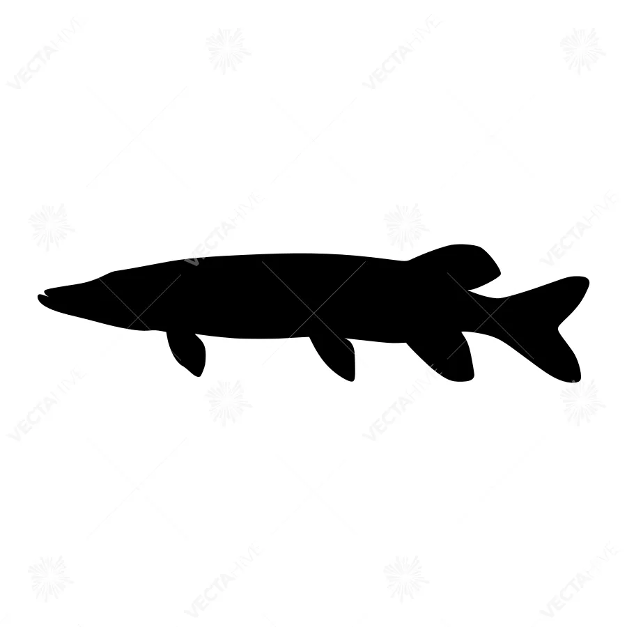 Black Pike Silhouette Vector Graphic