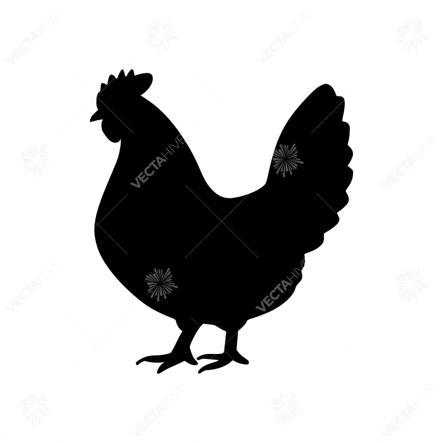 Black Chicken Silhouette Vector Illustration