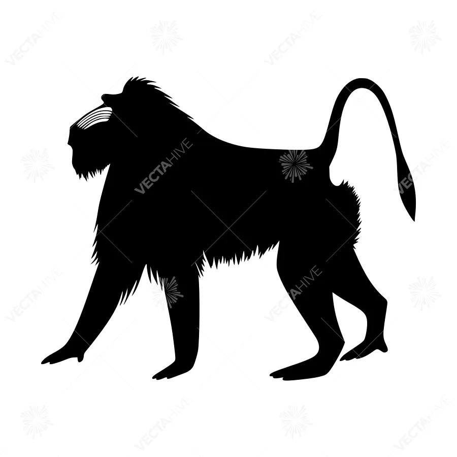Black Silhouette Lion - African Wildlife Vector