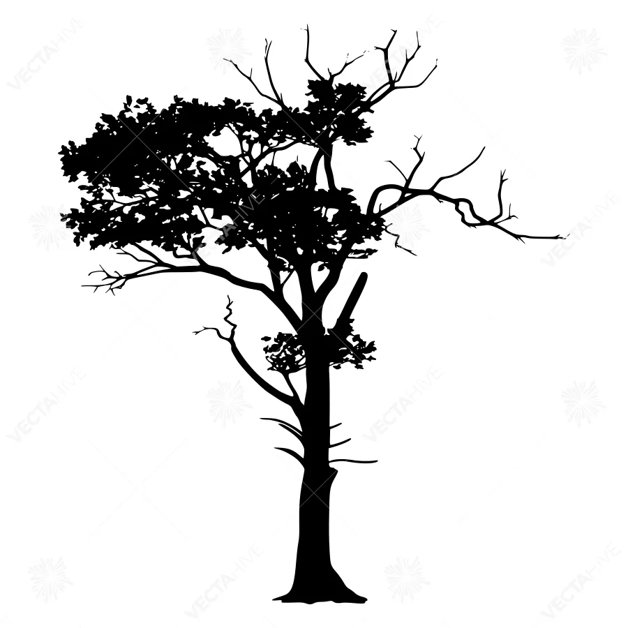 Silhouette Tree - Minimalist Black Tree Vector