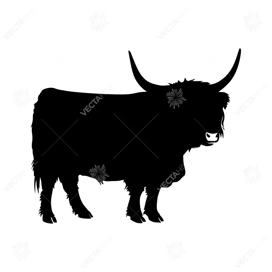 Highland Cow Silhouette - Black Outline