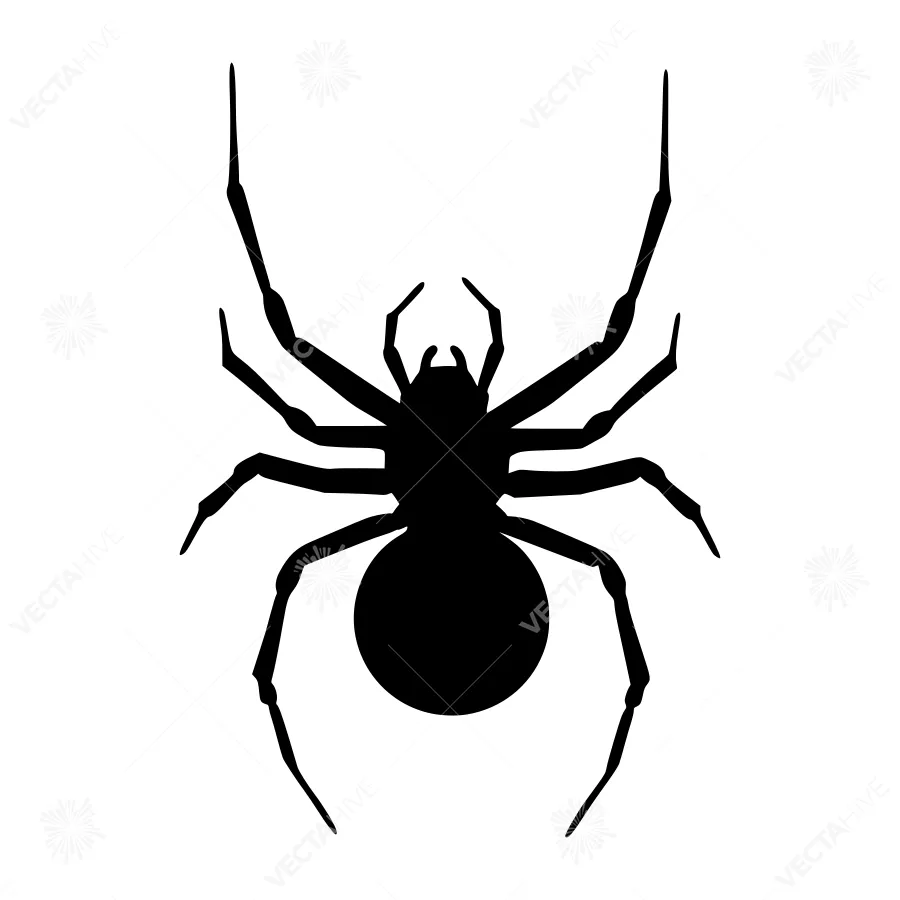 Black Spider Silhouette Vector Icon