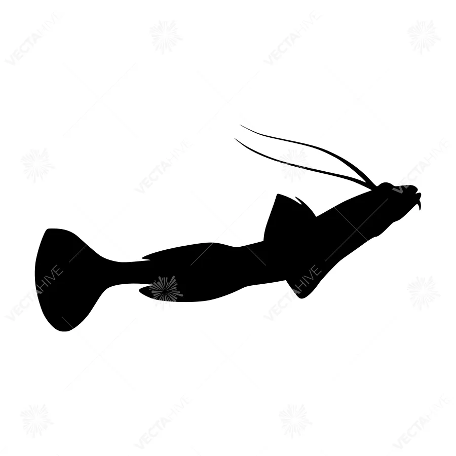 Silhouetted Catfish Silhouette Vector Graphic