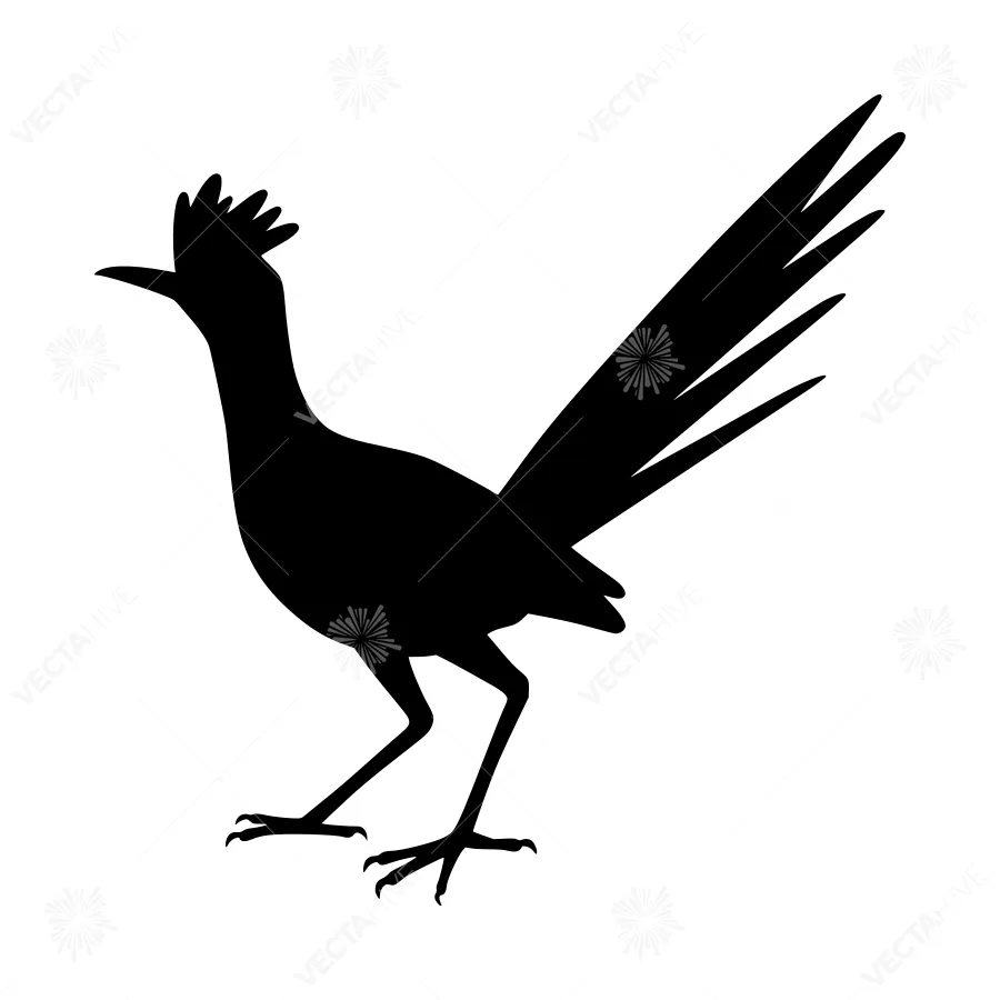 Roadrunner Silhouette Vector Illustration