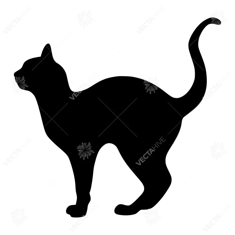 Black Cat Silhouette Vector Illustration