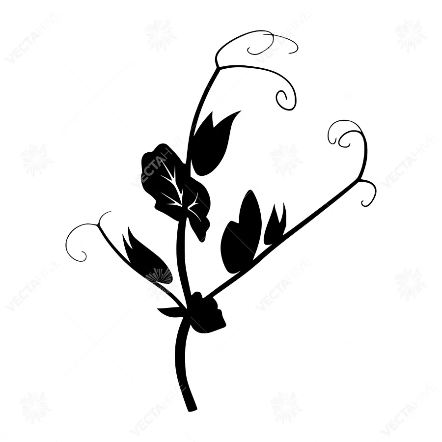 Black Pea Vine Silhouette Vector Illustration