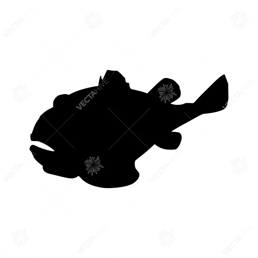 Black Grouper Fish Silhouette