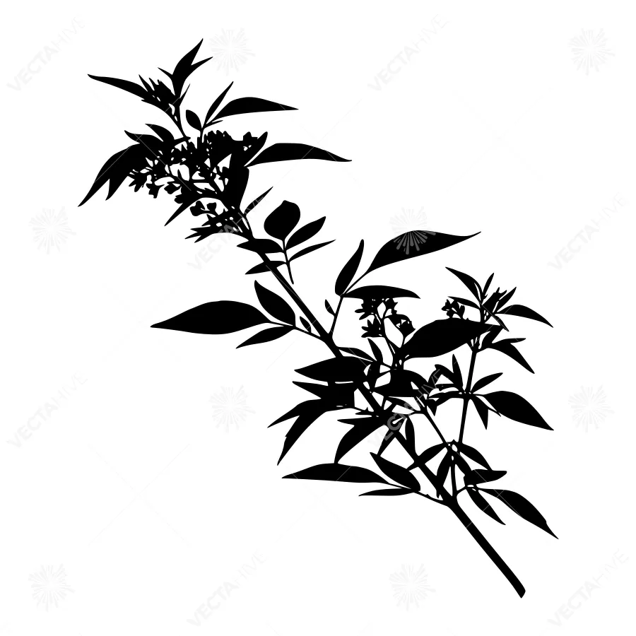 Black Silhouette Branch with Leaves
