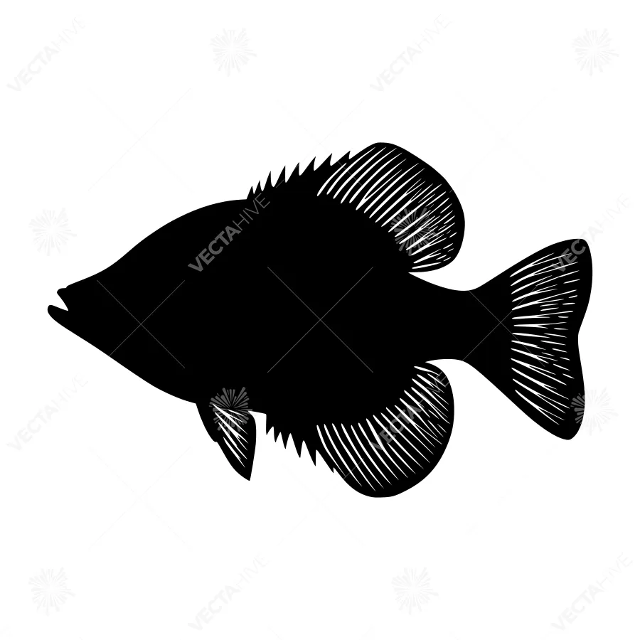 Silhouette Fish Graphic - Minimalist Vector Illustration