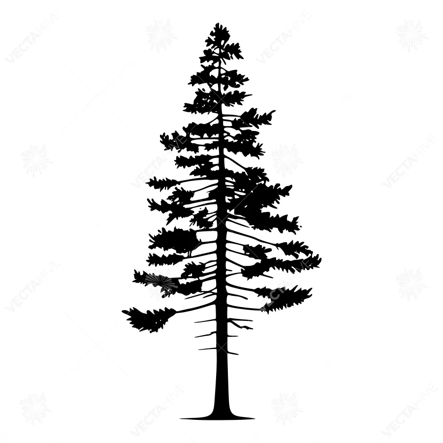 Silhouette Pine Tree - Minimalist Design