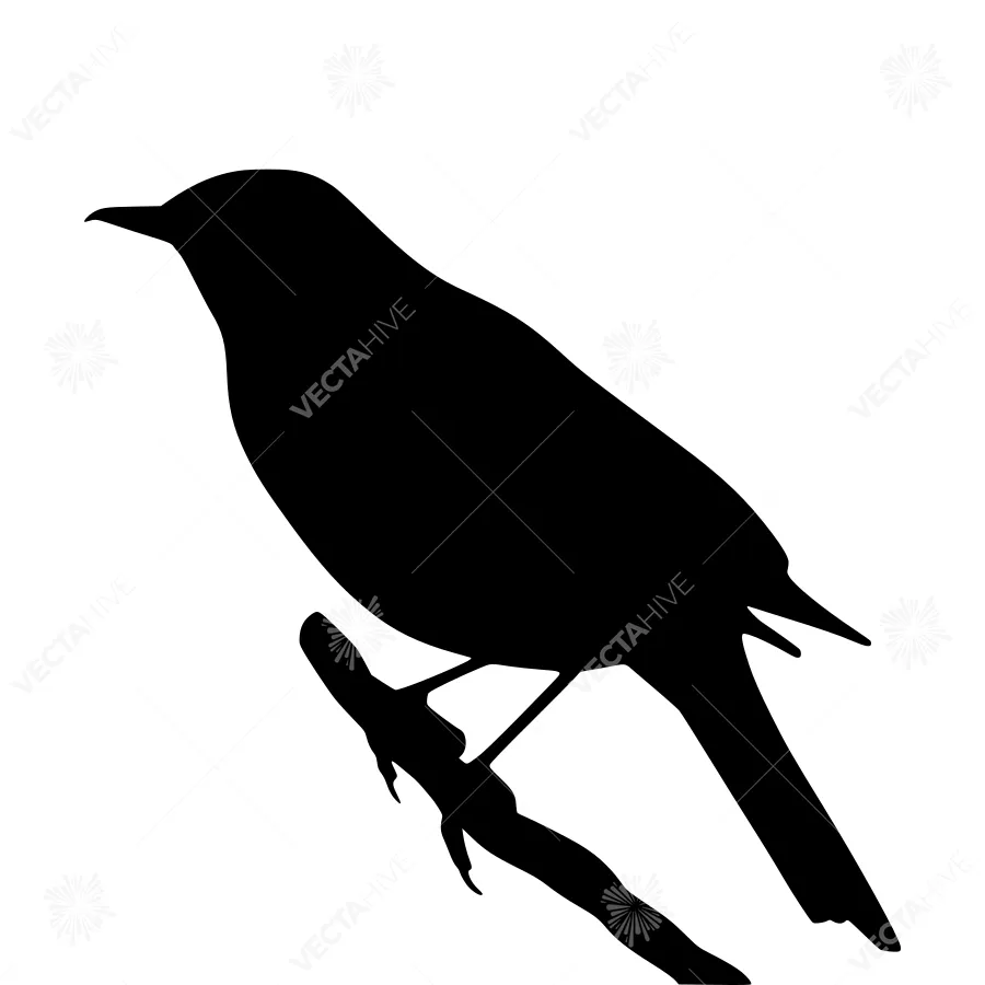 Silhouette Bird on Branch - Black Outline