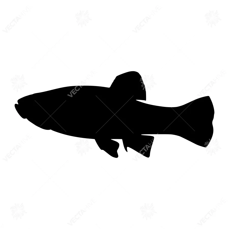 Black Fish Silhouette Vector Illustration