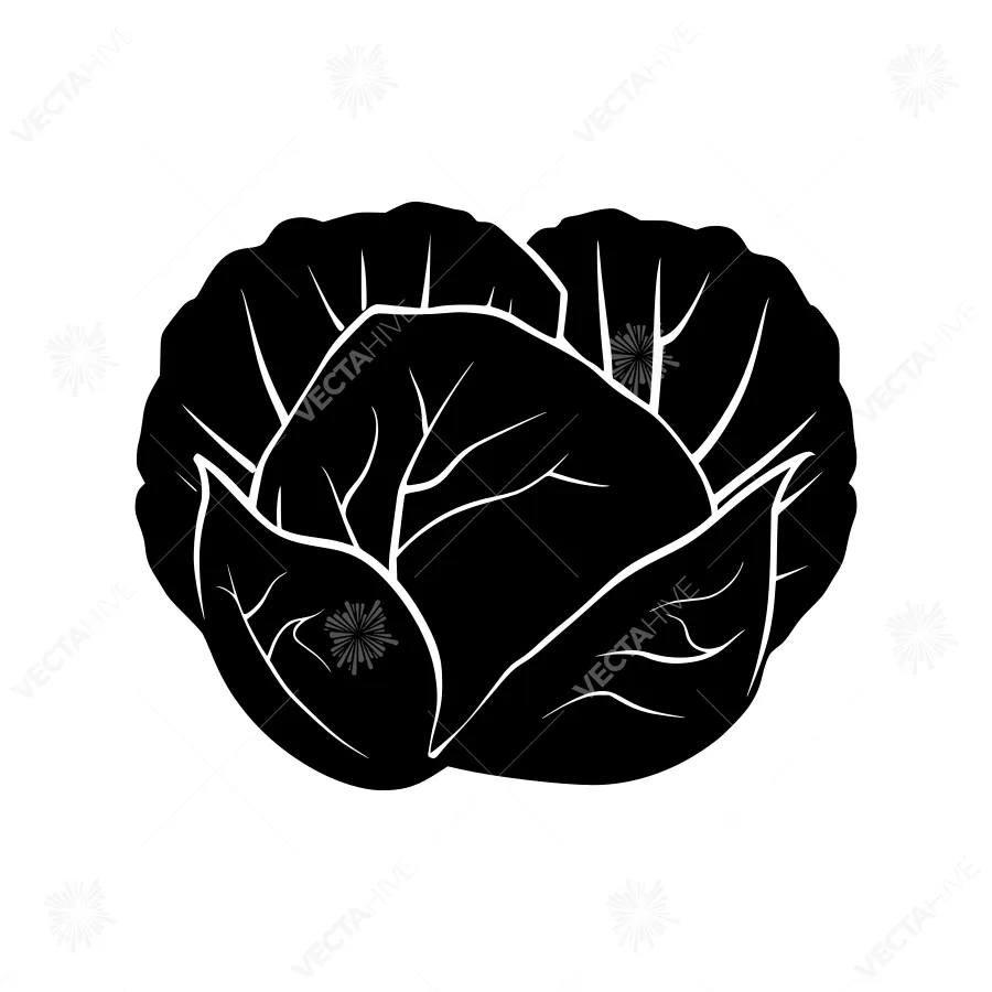 Black Cabbage Silhouette Vector Illustration
