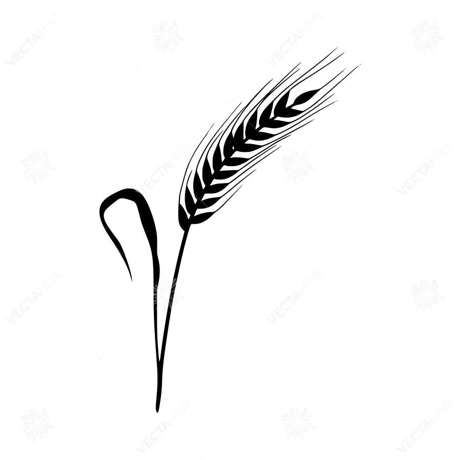 Wheat Stalk Silhouette Minimalist Vector