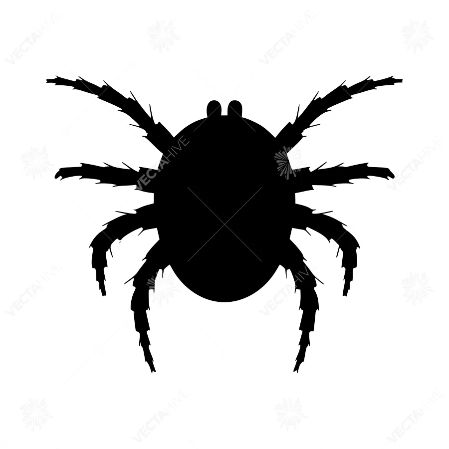 Black Spider Silhouette Vector Graphic