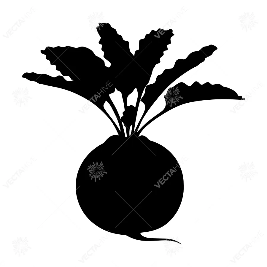 Radish Silhouette Vector Illustration