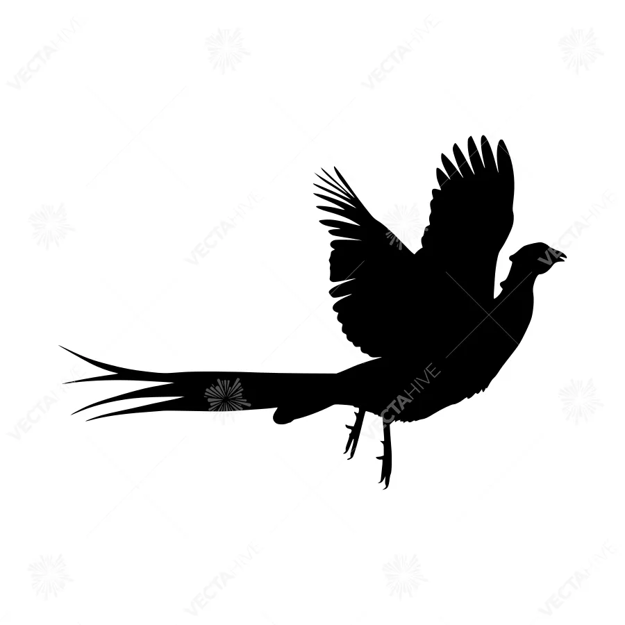 Silhouette of a Flying Pheasant
