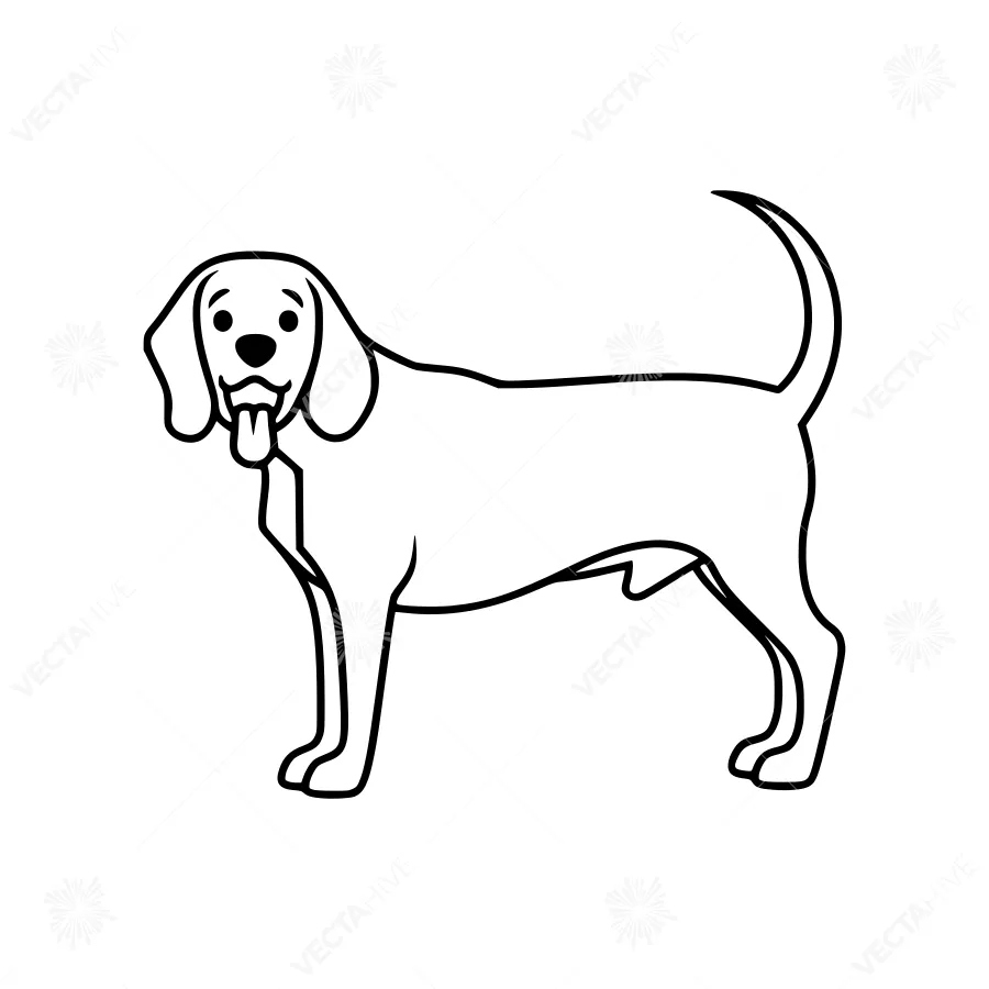 Beagle Dog Line Art Illustration