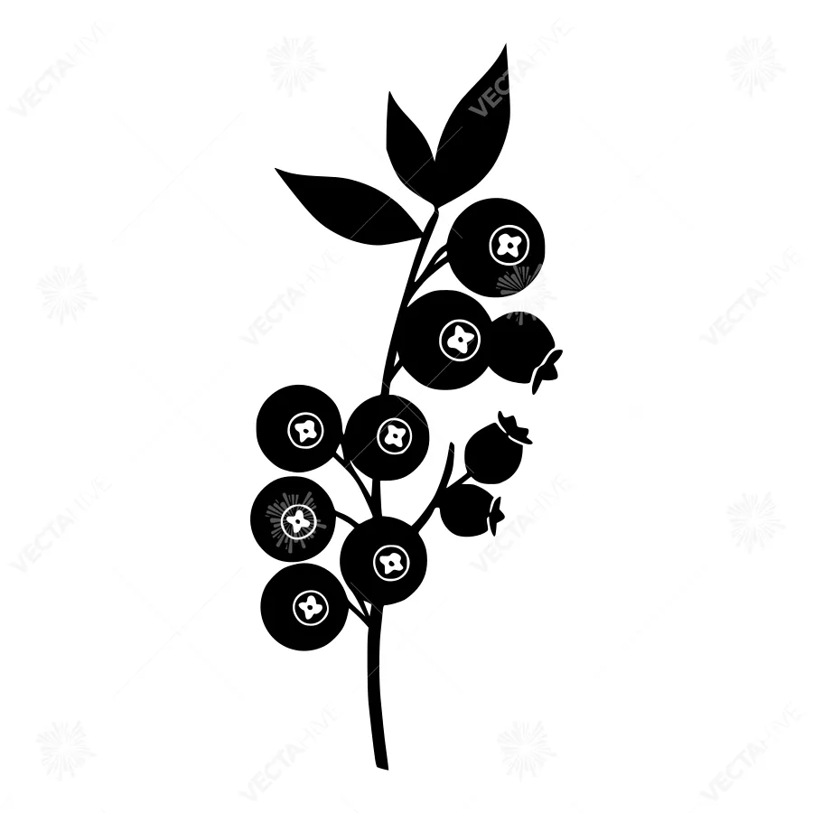 Black Blueberry Branch Silhouette