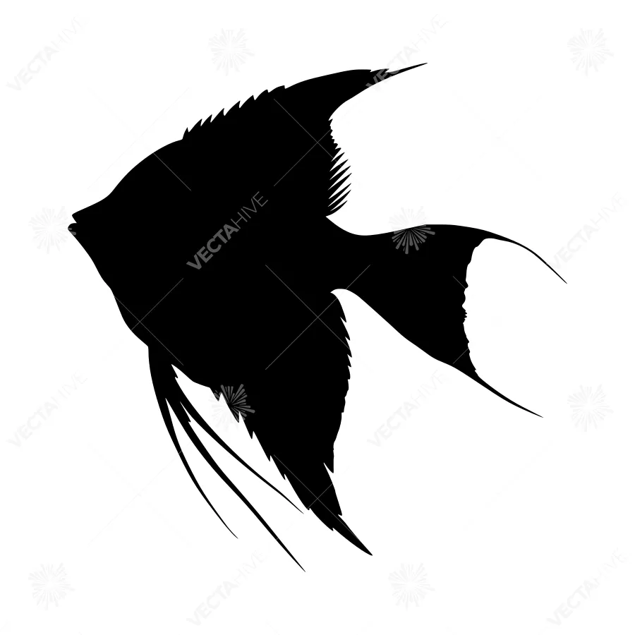 Black Angel Fish Silhouette Vector Graphic