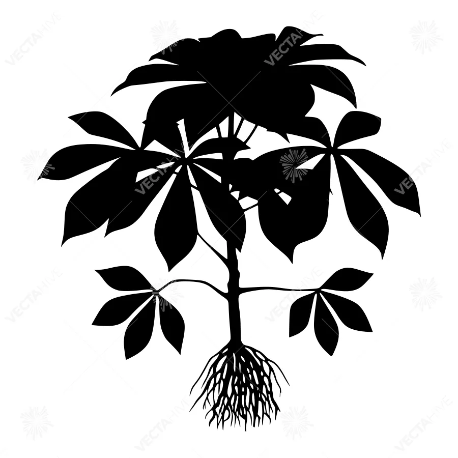 Black Silhouette Fern Leaf Plant