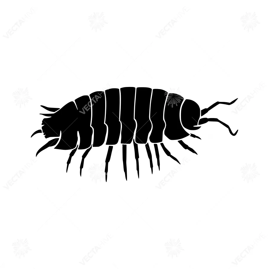 Black Silhouette Millipede Vector Illustration