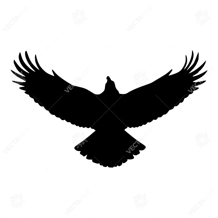 Black Eagle Silhouette - Minimalist Graphic